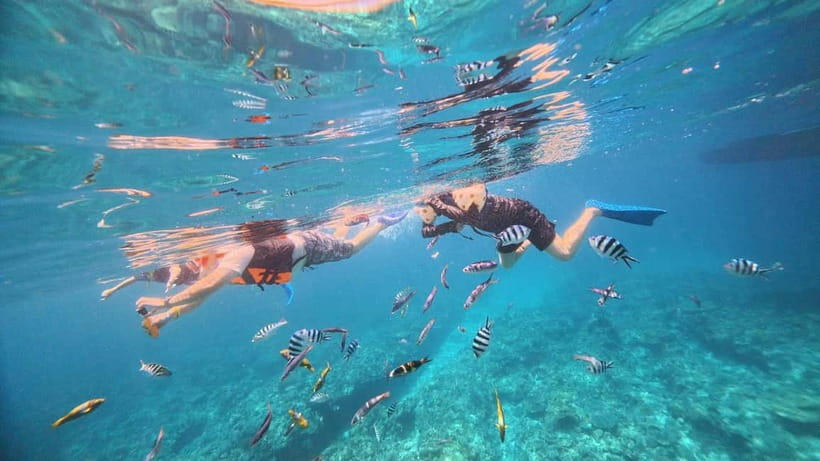 Kerama Half-Day Snorkeling Tour - Who will enjoy this Kerama outing