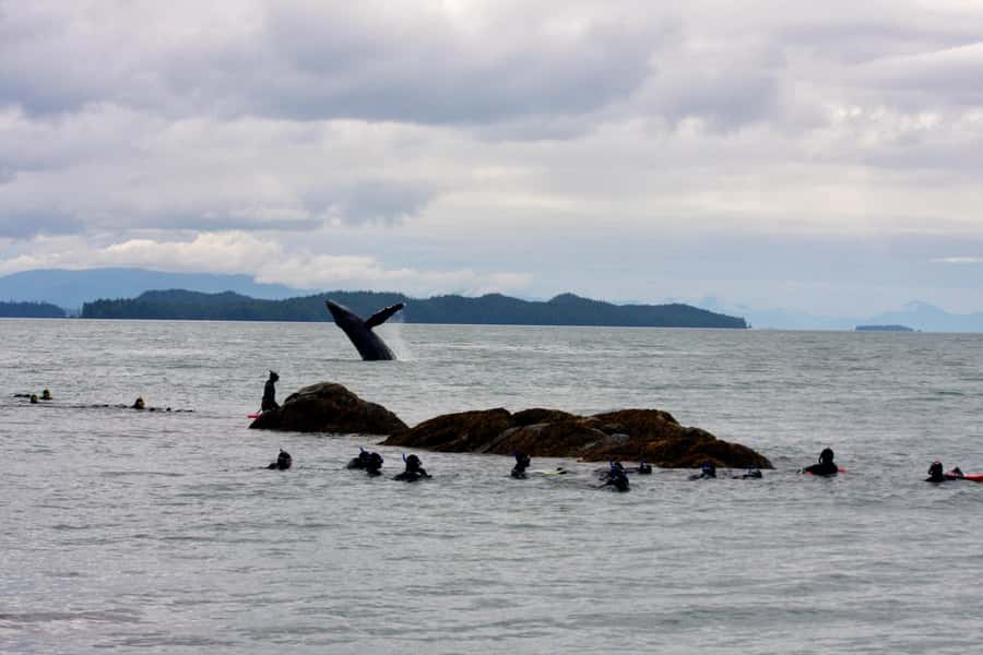 Ketchikan, Alaska: The Mountain Point Snorkeling Adventure - A careful lesson before you enter the water