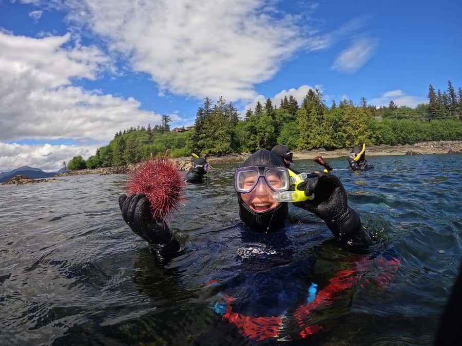 Ketchikan, Alaska: The Mountain Point Snorkeling Adventure - What the one-hour marine-life tour is like