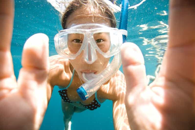 Key Largo: Molasses Reef Snorkeling Trip - A four-hour boat trip shared with scuba groups