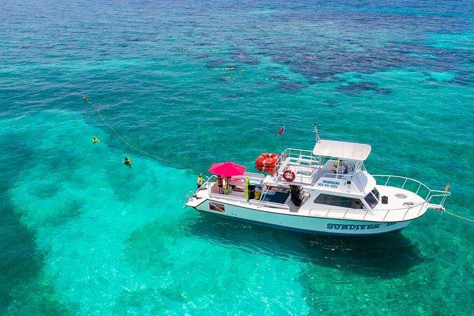 Key Largo Snorkeling Tour - rental mask, fins and vest INCLUDED - What the included gear really means