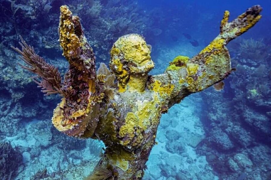 Key Largo: Snorkeling Trip - Why Key Largo’s reef is worth your morning
