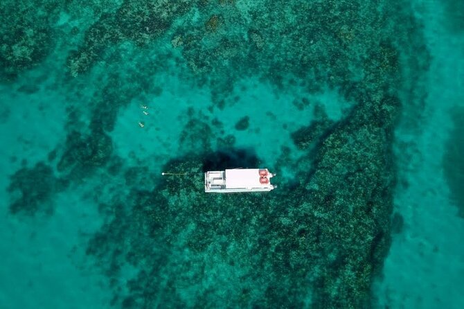 Key Largo Two Reef Snorkel Tour - All Snorkel Equipment Included! - The Florida Keys National Marine Sanctuary and Grecian Rocks