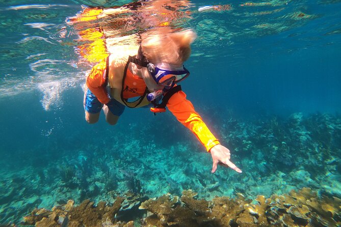 Key Largo Two Reef Snorkel Tour - All Snorkel Equipment Included! - Who will enjoy this Key Largo trip