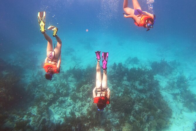 Key Largo Two Reef Snorkel Tour - All Snorkel Equipment Included! - Christ of the Abyss and the first reef stop