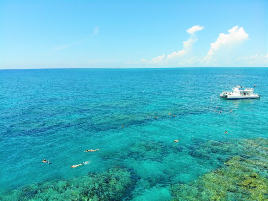 Key West: 2 Reef Snorkel With Sunset Cruise, Includes Drinks - The second reef stop adds variety