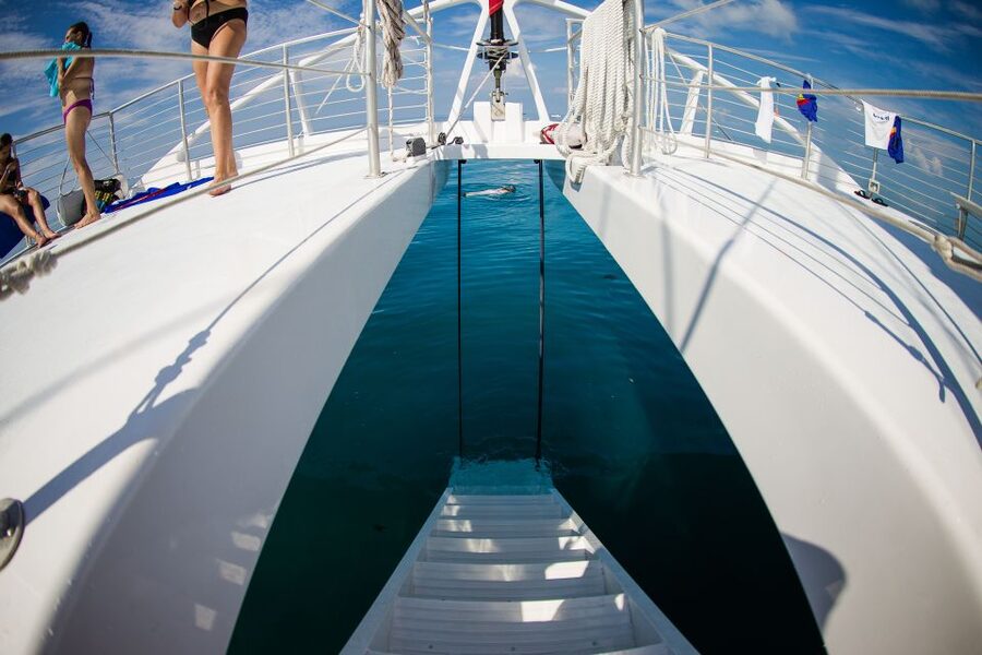 Key West: 2 Reef Snorkel With Sunset Cruise, Includes Drinks - Drinks and sunset change the mood