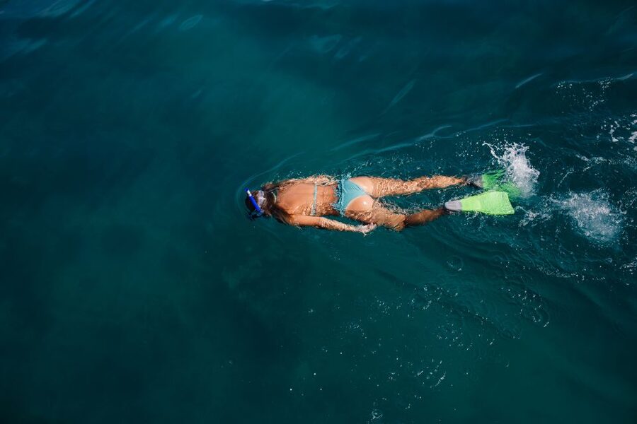 Key West: 3-Hour Afternoon Reef Snorkel with Drinks - Key points to know before you book