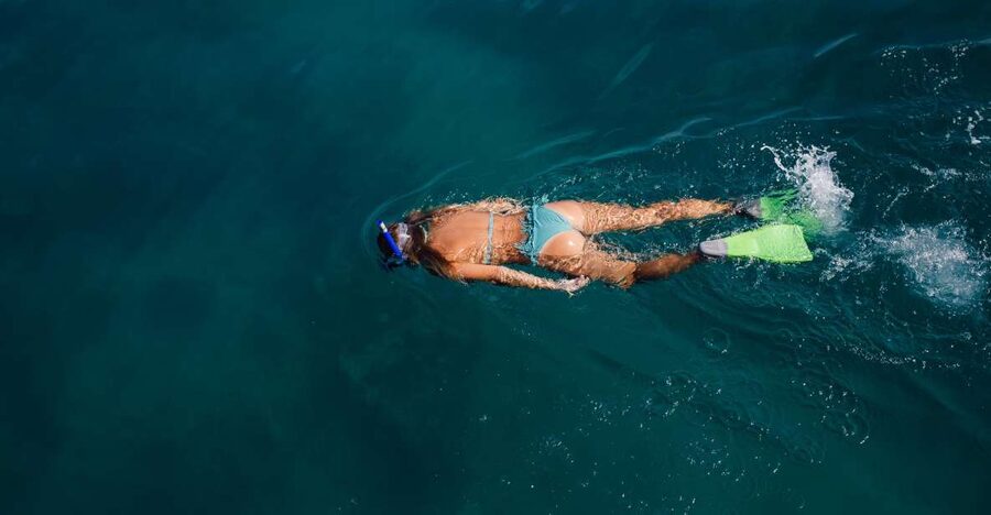 Key West: 3-Hour Afternoon Reef Snorkel with Drinks - What you may see over the coral reef