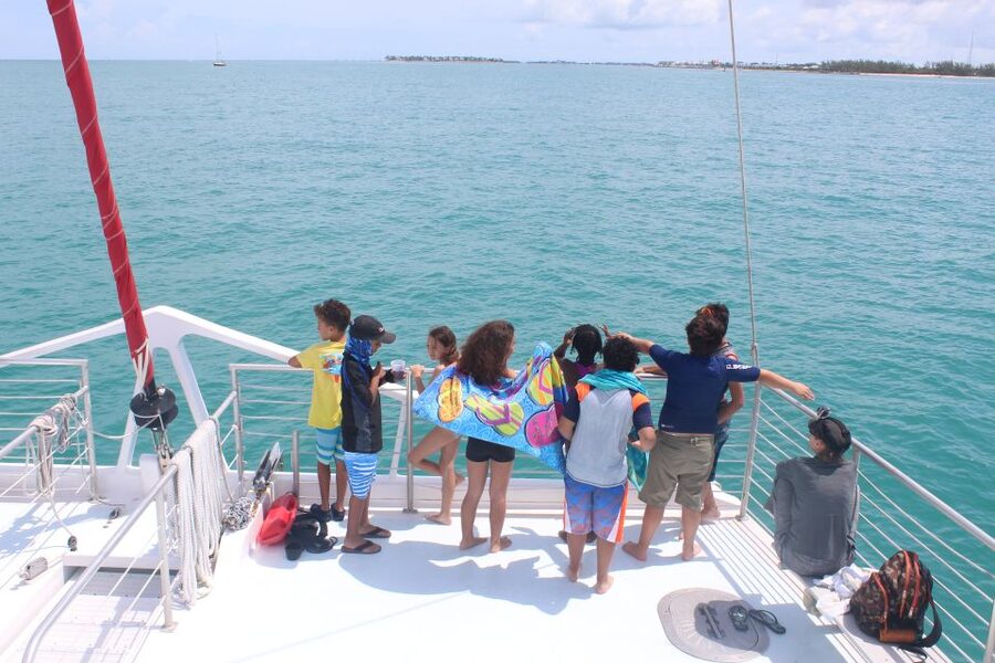 Key West: 3-Hour Afternoon Reef Snorkel with Drinks - Is $59 a fair price?