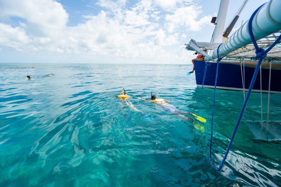 Key West: Afternoon Reef Snorkel Tour with Open Bar - Key points to know before booking