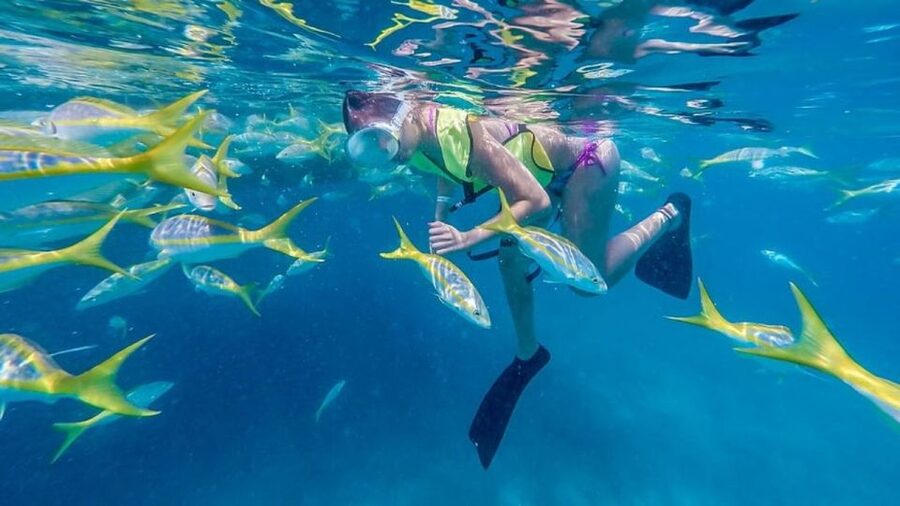 Key West: Afternoon Reef Snorkel Tour with Open Bar - Finding the meeting point on Lazy Way Lane