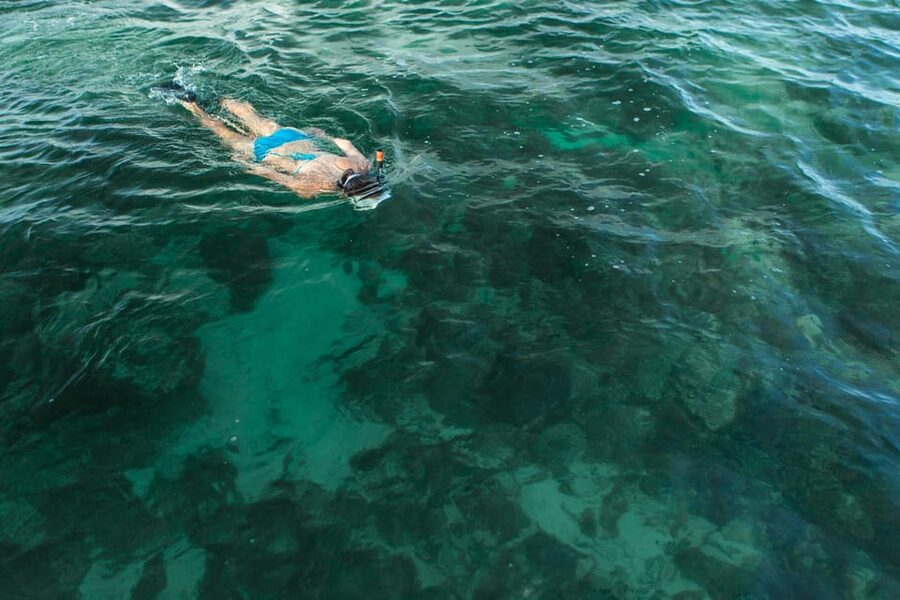 Key West Afternoon Sail, Snorkel, Kayak & Sunset Excursion - Is the $133 price fair?