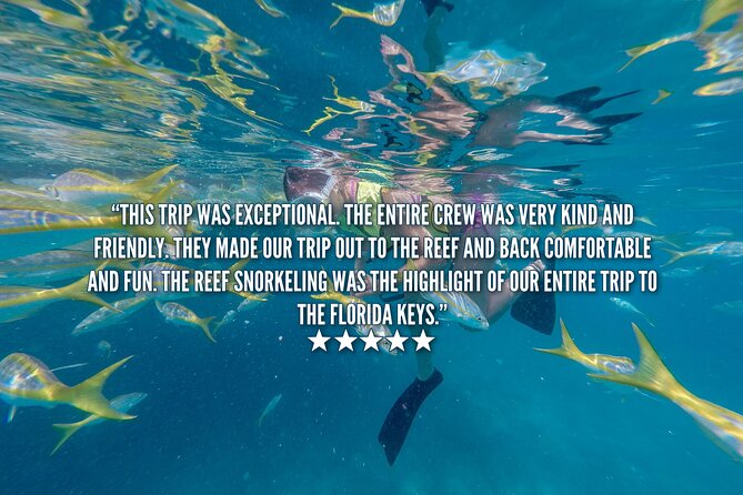 Key West Afternoon Snorkel Sail with Unlimited Cocktails! - Who should book this snorkel sail
