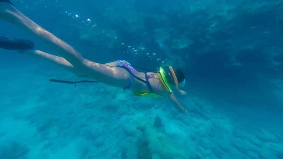 Key West: Catamaran Snorkel with Seafood Boil and Open Bar - Key points to know before booking