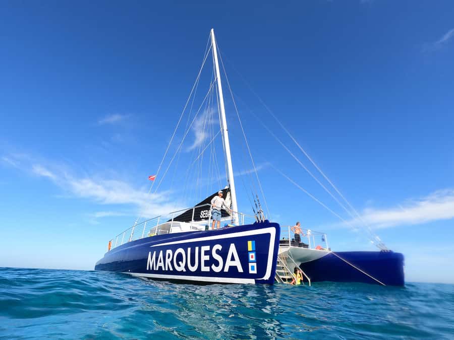 Key West: Catamaran Snorkel with Seafood Boil and Open Bar - Four hours that balance water time and downtime