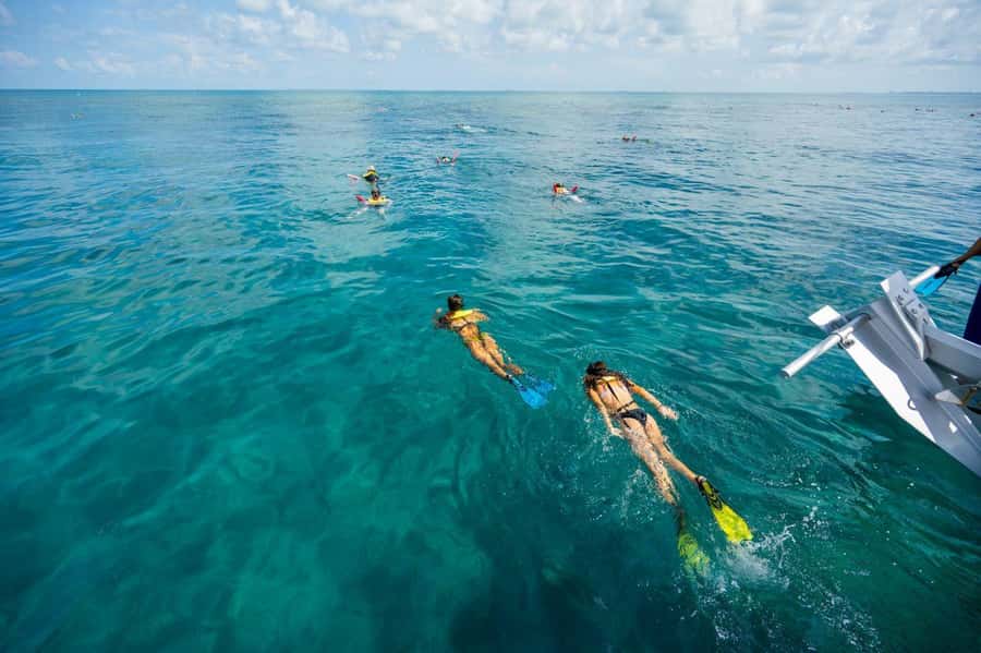 Key West: Catamaran Snorkel with Seafood Boil and Open Bar - The second site adds another chance to snorkel