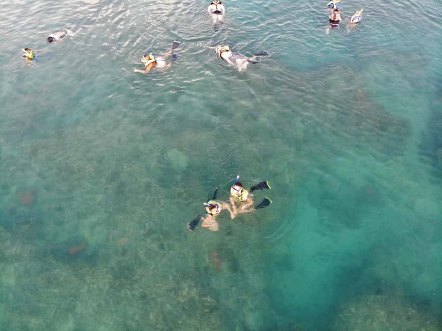 Key West: Dolphin & Reef Snorkel Trip with Sunset Option - Should you book the dolphin and reef trip?