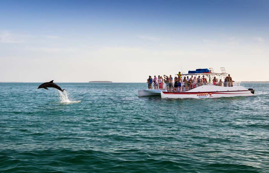 Key West: Dolphin & Reef Snorkel Trip with Sunset Option - Who will enjoy this outing most