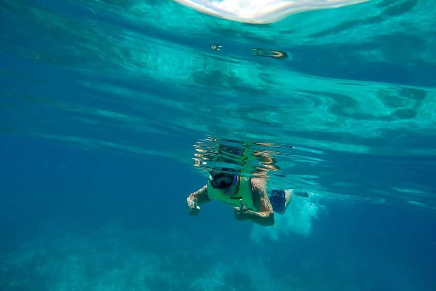 Key West: Dolphin & Reef Snorkel Trip with Sunset Option - Practical preparation for the water
