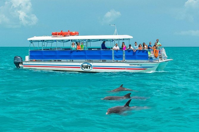 Key West Dolphin Watch and Snorkel Tour - Eco Adventure - The dolphin search comes first