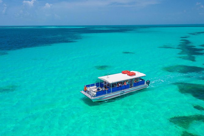 Key West Dolphin Watch and Snorkel Tour - Eco Adventure - What the catamaran adds to the experience