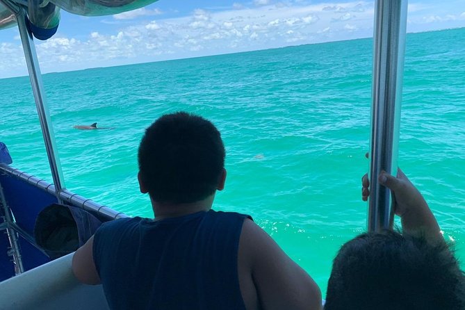 Key West Dolphin Watch and Snorkel Tour - Eco Adventure - Crew service can shape the day