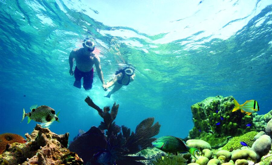 Key West: Dolphin Watching and Snorkeling Eco Cruise Tour - Dolphins first, then the backcountry reef