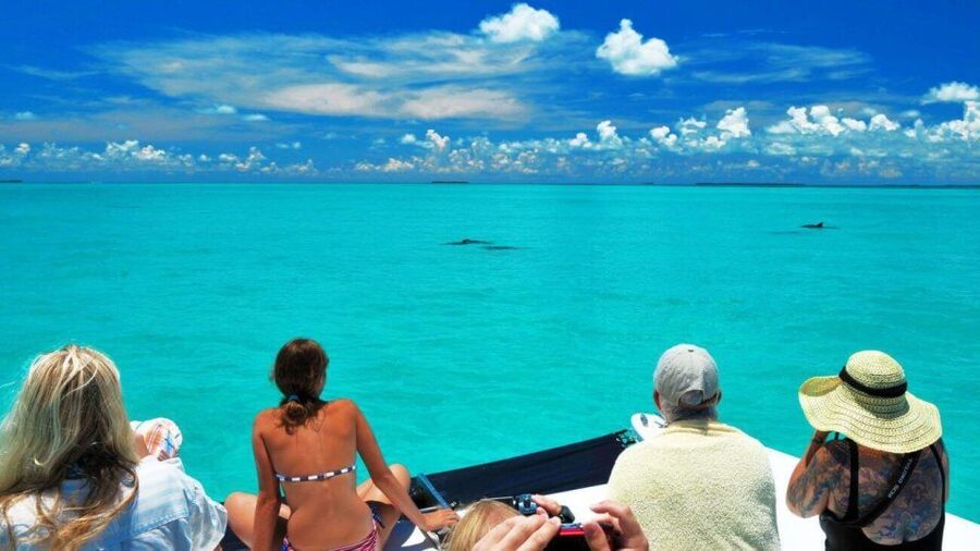 Key West: Dolphin Watching and Snorkeling Eco Cruise Tour - The dolphin search rewards patience
