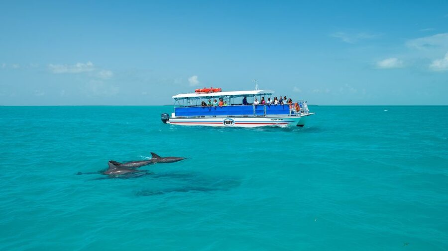 Key West: Dolphin Watching and Snorkeling Eco Cruise Tour - The crew makes the difference