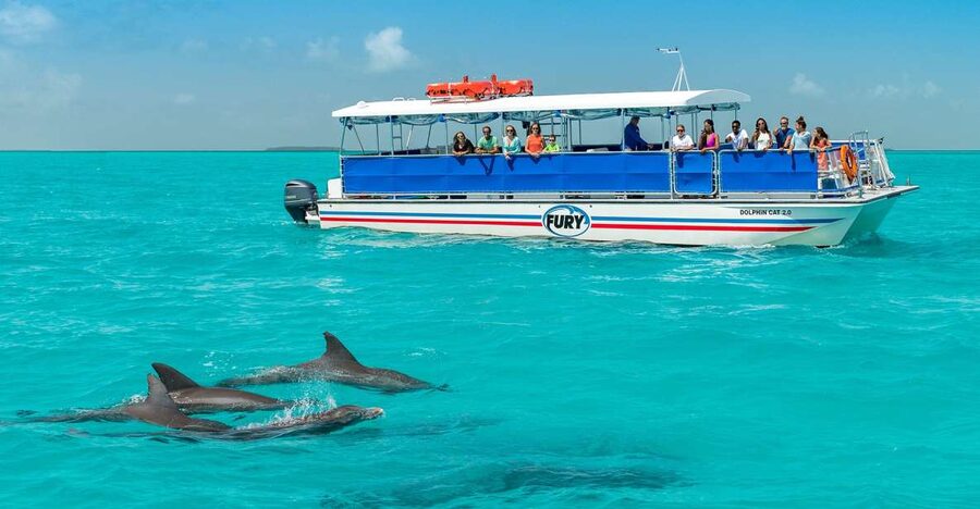 Key West: Dolphin Watching and Snorkeling Eco Cruise Tour - Who should book this Key West cruise?