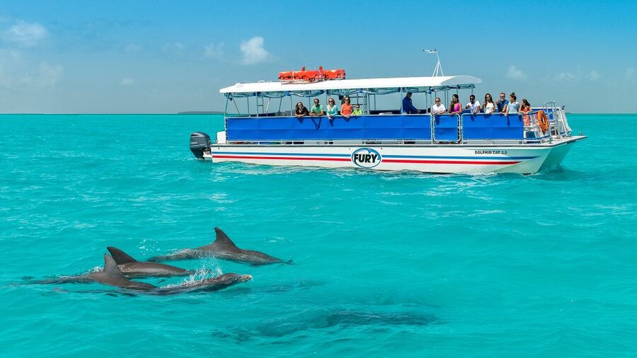 Key West: Dolphin Watching and Snorkeling Eco Cruise Tour - What the 45-foot catamaran adds