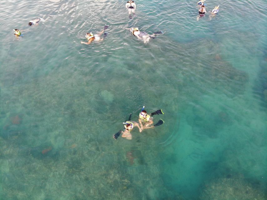 Key West: Dolphin Watching and Snorkeling Sunset Cruise - Who should book this three-hour cruise