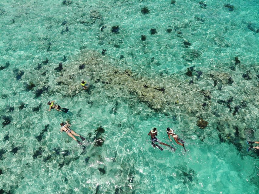 Key West: Dolphin Watching and Snorkeling Sunset Cruise - Cottrell Key and the National Wildlife Refuge