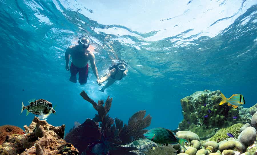 Key West Double Dip: 2-Stop Reef Snorkeling Trip - Key points to know before booking