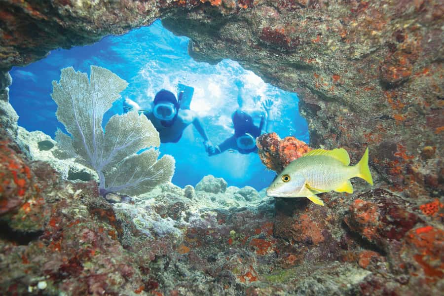 Key West Double Dip: 2-Stop Reef Snorkeling Trip - Getting to the reef from 631 Greene Street