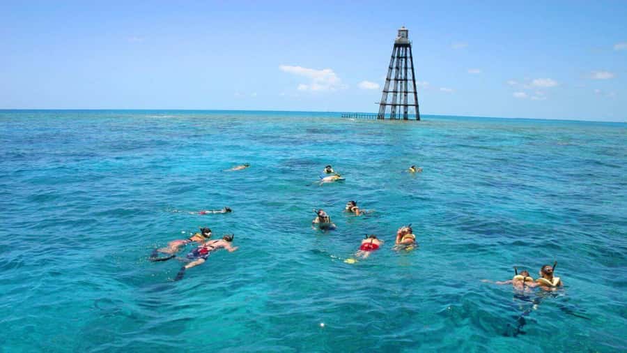 Key West Double Dip: 2-Stop Reef Snorkeling Trip - First reef stop: your first look below the surface