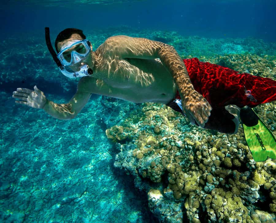 Key West Double Dip: 2-Stop Reef Snorkeling Trip - What the crew adds to the outing