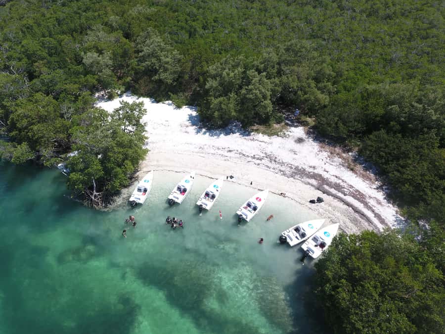 Key West: Eco Safari Sandbar Tour with Snorkeling - FAQ