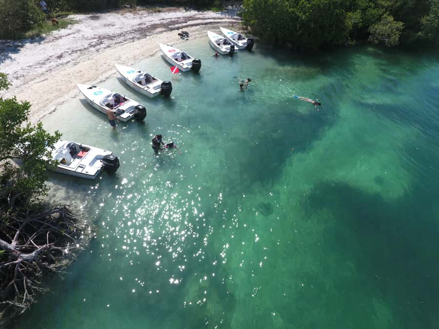Key West: Eco Safari Sandbar Tour with Snorkeling - Taking the Controls Through the Mangrove Maze