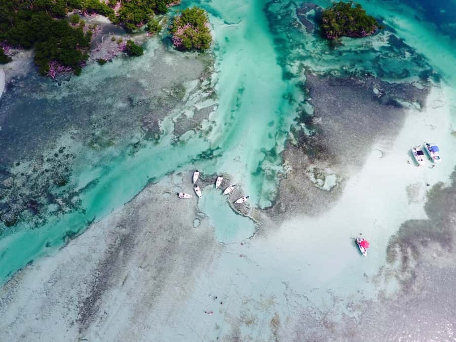 Key West: Eco Safari Sandbar Tour with Snorkeling - Returning Through the Backcountry