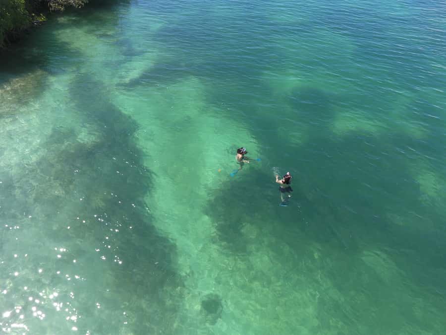 Key West: Eco Safari Sandbar Tour with Snorkeling - What the $178 Price Really Covers