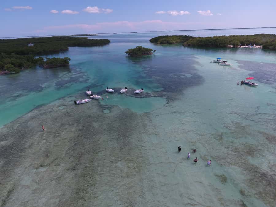 Key West: Eco Safari Sandbar Tour with Snorkeling - Guides, Language, and Comfort on the Water