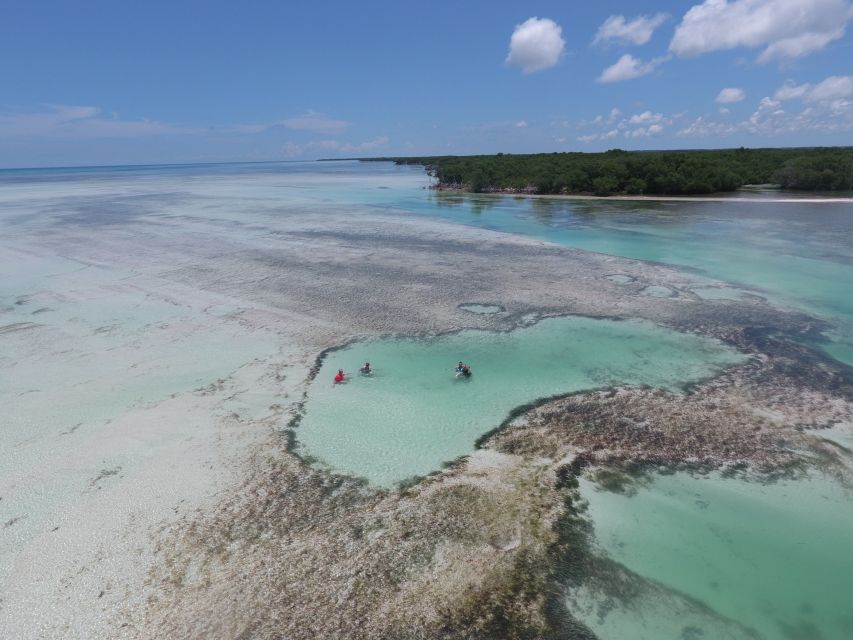 Key West: Eco Safari Sandbar Tour with Snorkeling - Who Will Enjoy This Trip Most