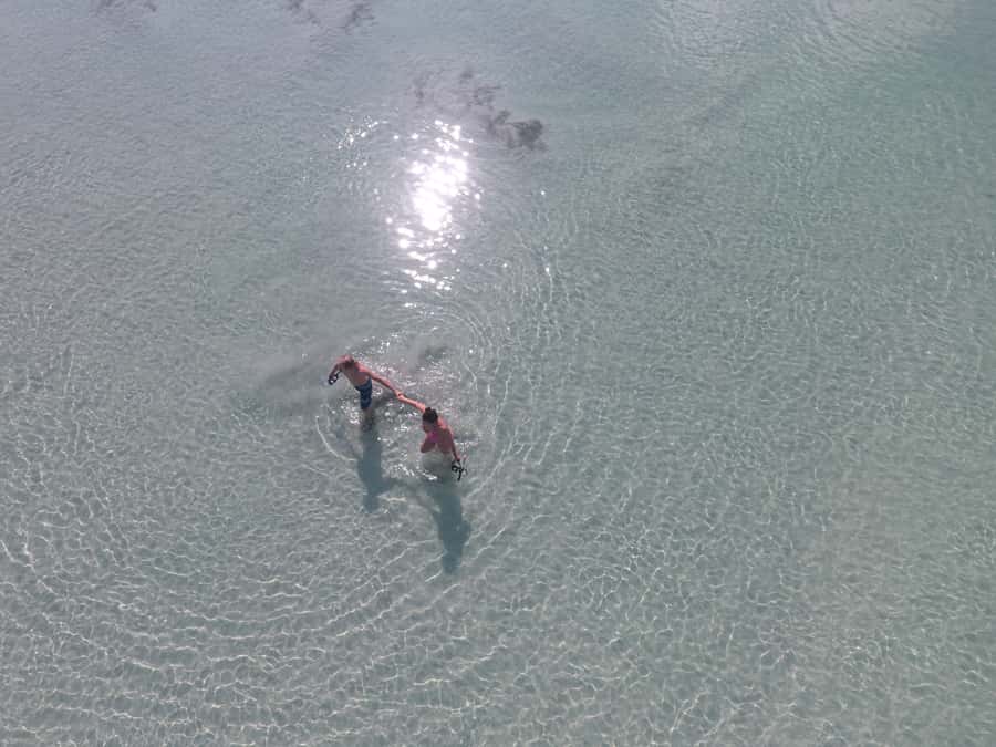 Key West: Eco Safari Sandbar Tour with Snorkeling - Booking Details That Matter