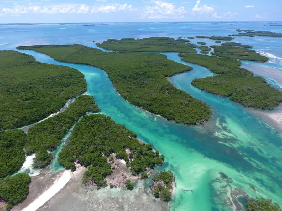 Key West: Eco Safari Sandbar Tour with Snorkeling - Reaching Mud Key and Its Turquoise Water