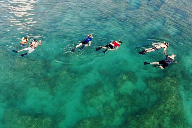 Key West Reef Morning Snorkeling with Breakfast and Mimosas - What you might see at the reef