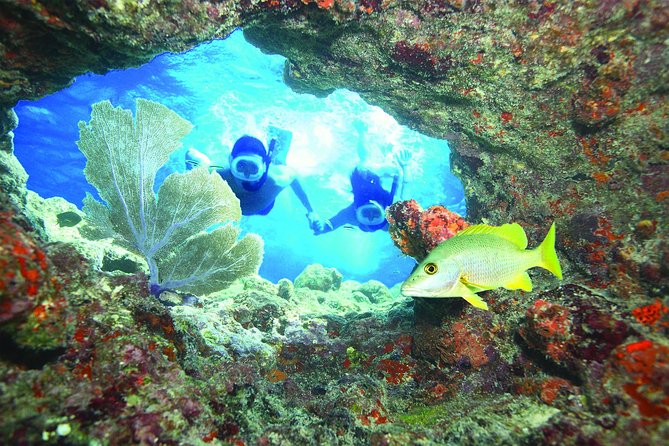 Key West Reef Snorkel – Morning Mimosas or Afternoon Margaritas - Key points to know before booking