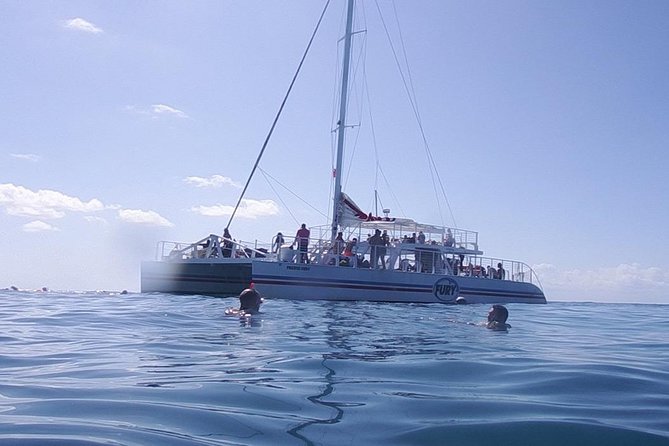 Key West Reef Snorkel – Morning Mimosas or Afternoon Margaritas - What the reef time is really like