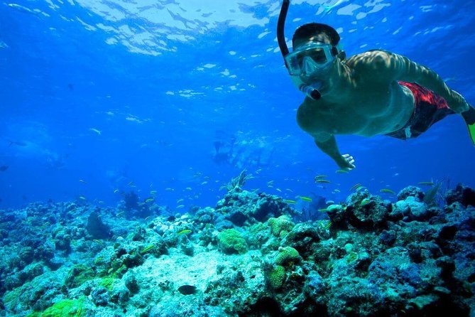 Key West Reef Snorkel – Morning Mimosas or Afternoon Margaritas - Drinks, snacks, and the trip home